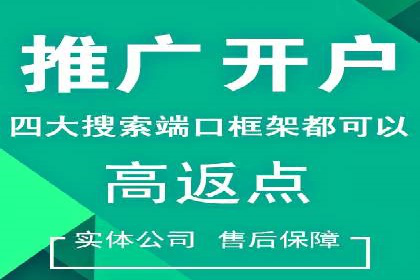 某行业SEM竞价专员的成功策略与经典案例